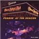 The Allman Brothers Band - Peakin' At The Beacon