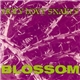 Holy Love Snakes - Blossom