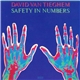 David Van Tieghem - Safety In Numbers