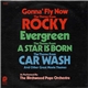 Birchwood Pops - Gonna Fly Now / Evergreen / Car Wash