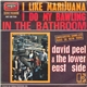 David Peel & The Lower East Side - I Like Marijuana