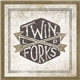 Twin Forks - Twin Forks